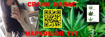 каннабис Нальчик