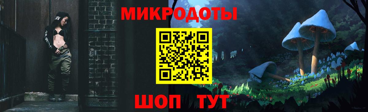 Галлюциногенные грибы Cubensis Томск